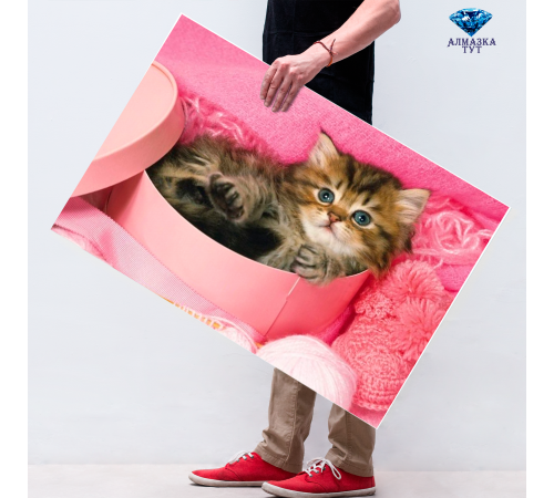 Алмазная мозаика "Котенок в коробочке"