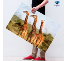 Алмазная мозаика "Жирафы"