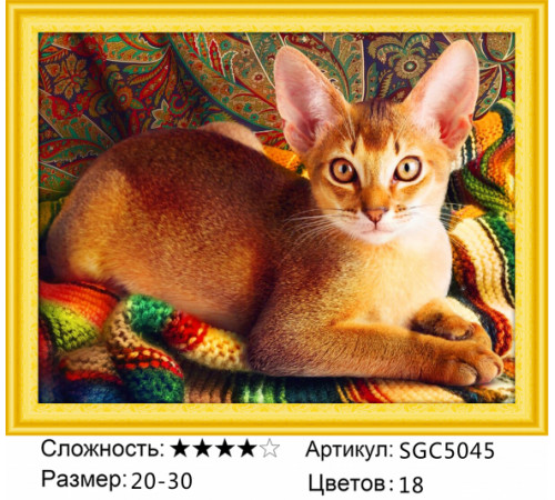 Алмазная мозаика "Абиссинская кошка"
