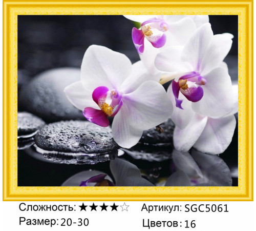 Алмазная мозаика "Белые орхидеи"
